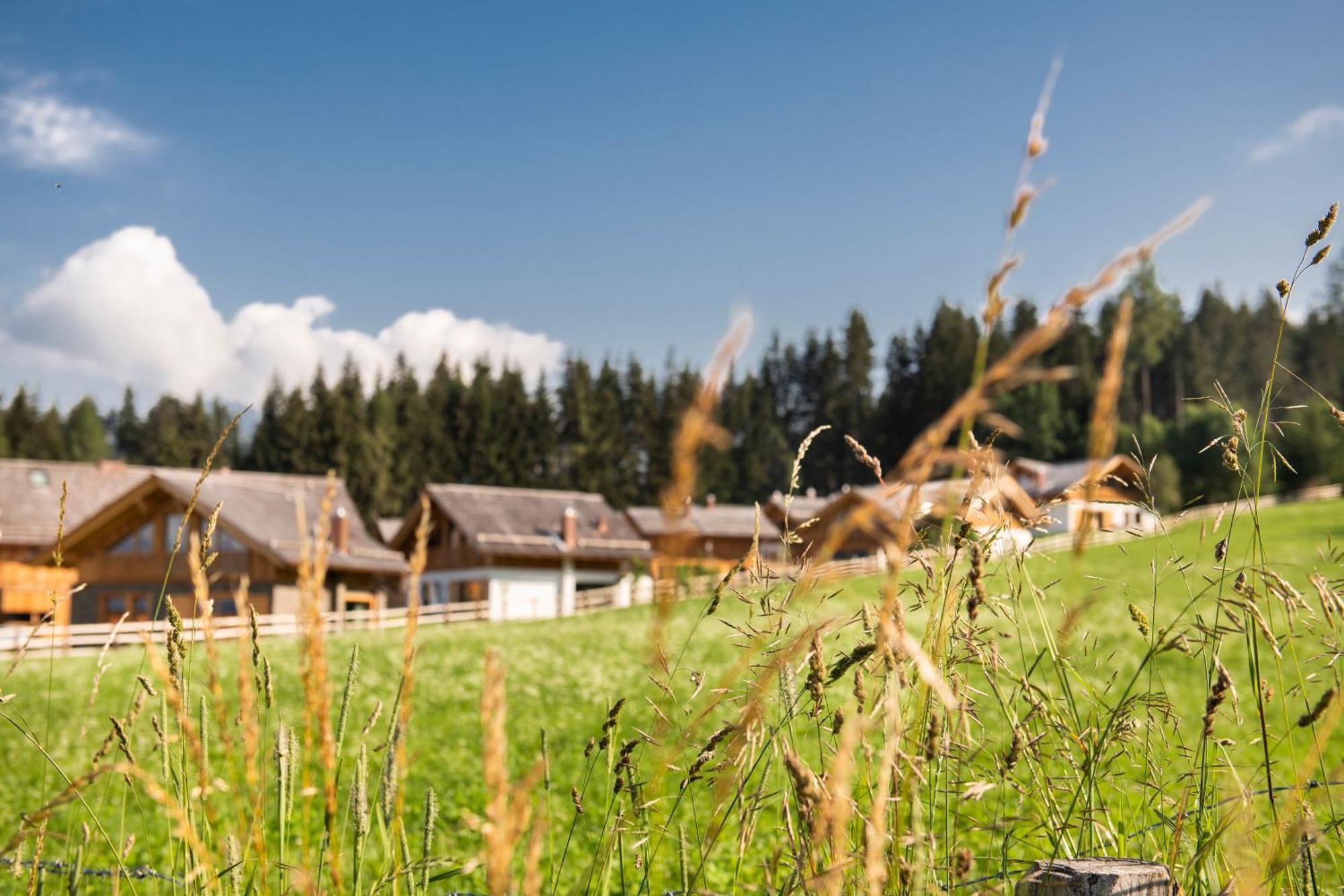 Lerchpeuntgut Alpenfreud Apartments Tamsweg Eksteriør billede